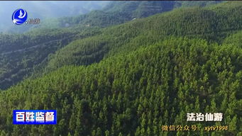 自己種的林木不可隨意砍伐，非法采伐將被刑拘！